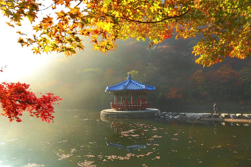 DU LỊCH MÙA HÈ HÀN QUỐC LIÊN TUYẾN  BUSAN & SEOUL: HÀ NỘI – BUSAN – DU THUYỀN 5 SAO BUSAN YACHT -  SEOUL - NAMI -  HÀ NỘI TRẢI NGHIỆM TÀU CAO TỐC KTX TUYẾN BUSAN - SEOUL 6N5Đ
