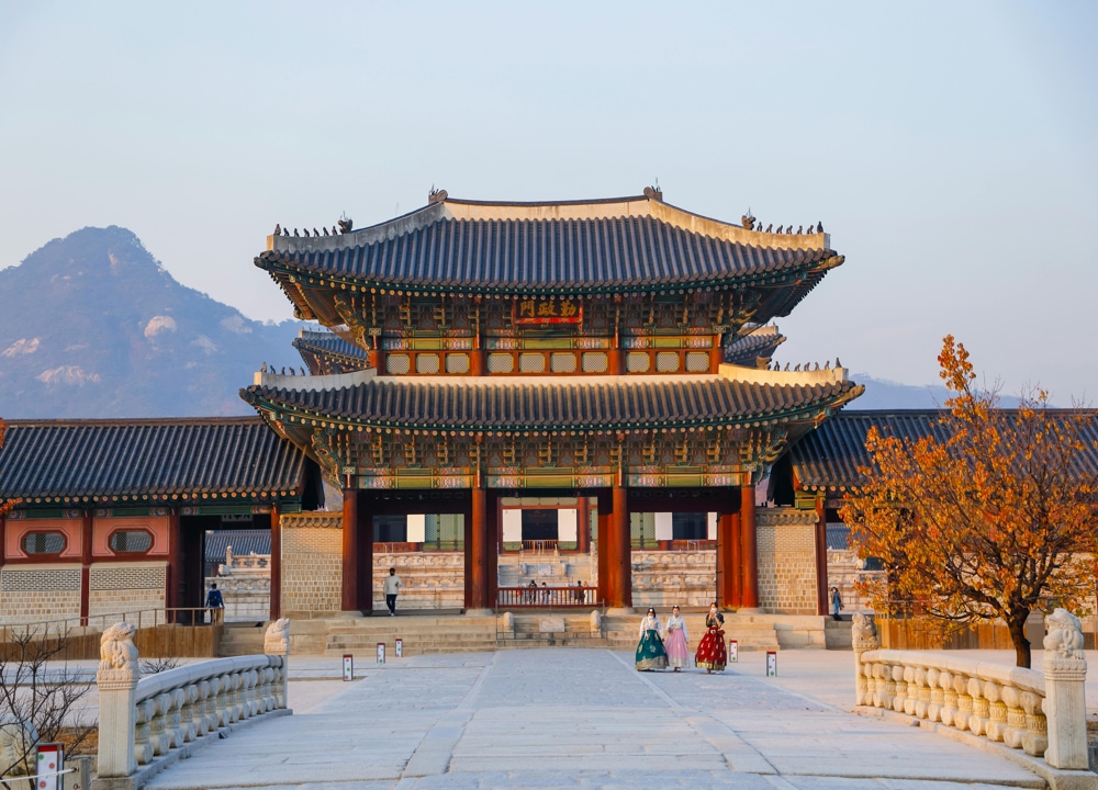 KHÁM PHÁ XỨ SỞ KIM CHI MÙA HOA ANH ĐÀO – HÈ 2026 NOSHOPING: HÀ NỘI - SEOUL - NAMI - NAMSAN TOUR - DU THUYỀN SÔNG HÀN/ LÀNG CÔNG VIÊN GIẢI TRÍ THUỴ SỸ EDLWEISS - EVERLAND - THƯ VIỆN STARFIELD