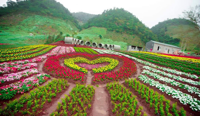 Tour Mộc Châu 2 ngày 1 đêm khởi hành từ Hà Nội + Ở Homestay #3