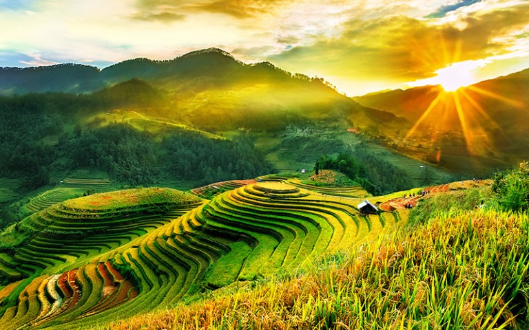 Du lịch Mù Cang Chải - Hồ Thác Bà mùa lúa chín 3N2Đ